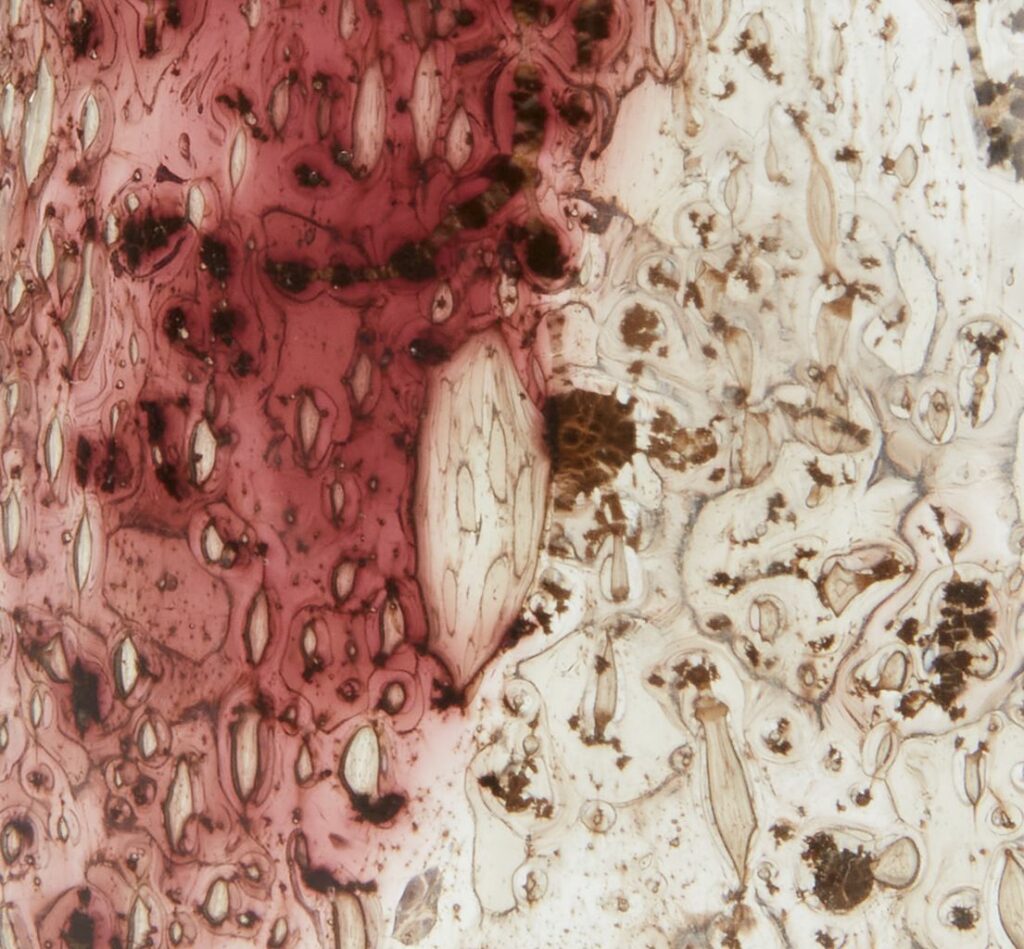 Toothbrush holder LYSVIK hand made glass JYSK