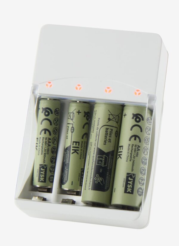 Battery charger EIK w/plug - Image 3