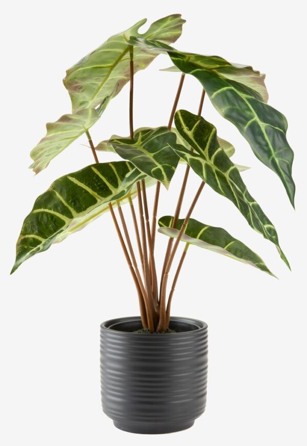 Plant pot HAMPUS D.11xH11cm earthenware - Image 4