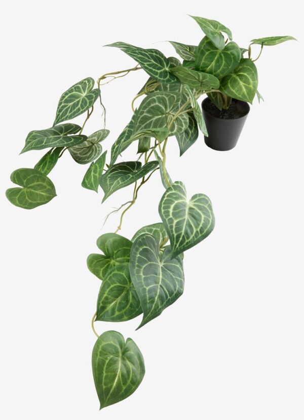 Artificial plant KNOPPSVANE H30cm green - Image 2