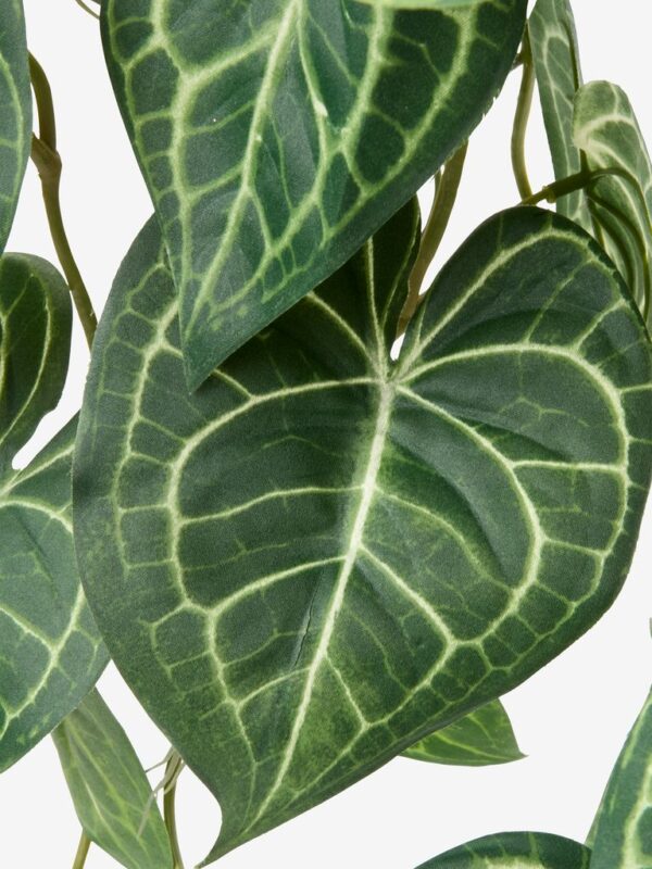 Artificial plant KNOPPSVANE H30cm green - Image 6