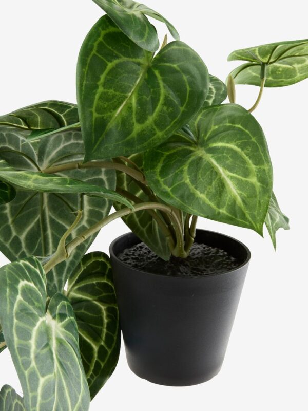 Artificial plant KNOPPSVANE H30cm green - Image 4