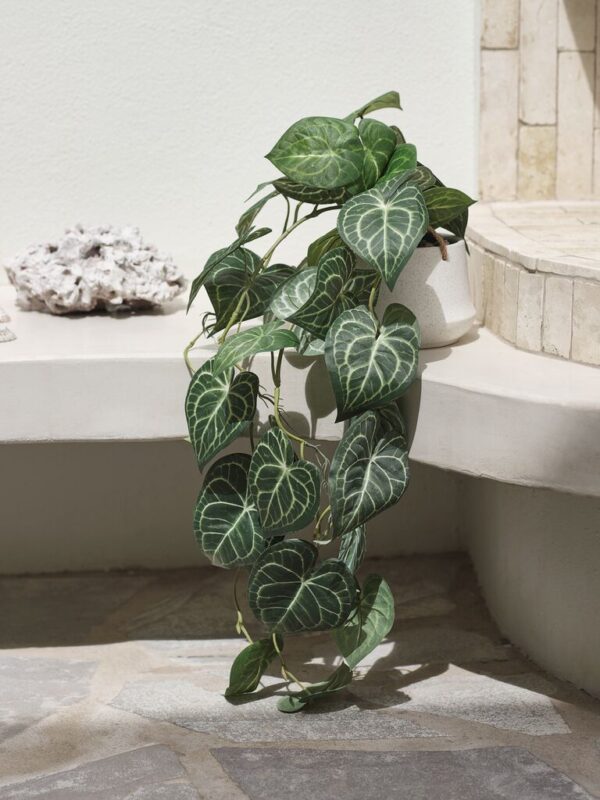 Artificial plant KNOPPSVANE H30cm green - Image 3