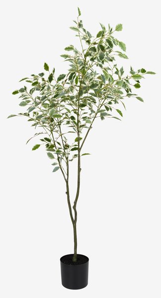 Artificial Plants
