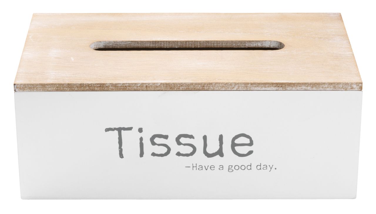 Tissue box FJELD 25x14x10cm white - JYSK