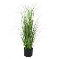 Garden Accessories