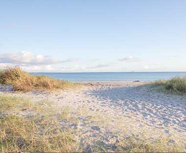 121114_summer_beach_1